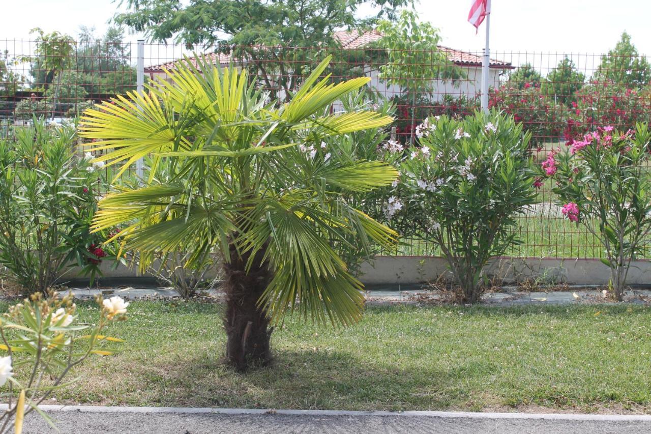 B&B La Garona Saint-Nicolas-de-la-Grave Dış mekan fotoğraf